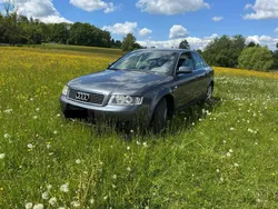 Braun Gebraucht 2001 Audi A4 Limousine | 2.199 € (Fairer Preis)