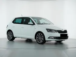 Weiß Gebraucht 2017 Skoda Fabia Drive Kleinwagen | 12.200 € (Etwas zu teuer)