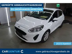 Weiß Gebraucht 2019 Ford Fiesta Trend Kleinwagen | 9.490 € (Guter Preis)
