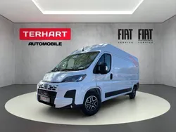 Weiss (pastell)) (weiss Neu 2025 Fiat Ducato Van | 44.015 € (Etwas zu teuer)