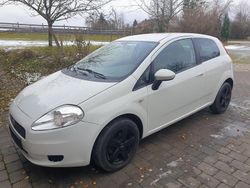Weiß Gebraucht 2009 Fiat Punto Kleinwagen | 2.450 € (Etwas zu teuer)