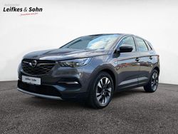 Grau Gebraucht 2019 Opel Grandland X Business Innovation SUV | 21.990 € (Teuer)