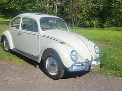 Weiß Gebraucht 1964 VW Käfer Limousine | 14.500 €