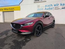 Neu 2025 Mazda CX-30 Homura-Line SUV | 32.190 €