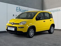 Gelb Neu 2024 Fiat Panda Kleinwagen | 14.298 €