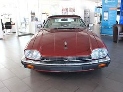Rot Gebraucht 1984 Jaguar XJS Cabrio | 49.970 €