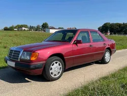 Rot Gebraucht 1991 Mercedes 250 Limousine | 5.500 €