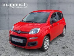 Amore rot (rot) Gebraucht 2019 Fiat Panda Easy Kleinwagen | 9.490 € (Fairer Preis)