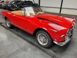 Rot Gebraucht 1965 Alfa Romeo 2600 Cabrio | 47.500 €
