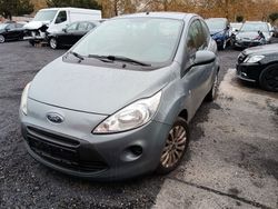 Grau Gebraucht 2009 Ford Ka Trend Kleinwagen | 1.300 € (Superpreis)
