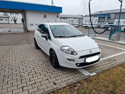 Weiß Gebraucht 2014 Fiat Punto Kleinwagen | 3.490 € (Superpreis)