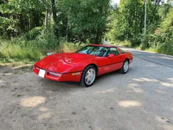 Rot Gebraucht 1989 Corvette C4 Coupé | 18.000 €