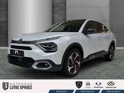 Weiß Neu 2025 Citroën C4 X PureTech SUV | 22.590 € (Fairer Preis)