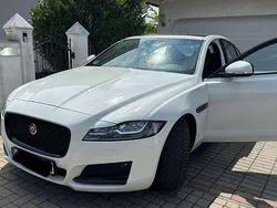 Weiß Gebraucht 2017 Jaguar XF Prestige Limousine | 21.490 € (Fairer Preis)