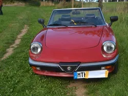 Rot Gebraucht 1986 Alfa Romeo Spider Cabrio | 12.500 €