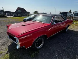 Rot Gebraucht 1967 Pontiac GTO Coupé | 59.000 €