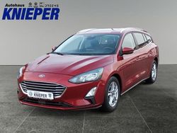 Rubyrot metallic Gebraucht 2020 Ford Focus Cool & Connect Kombi | 15.450 € (Fairer Preis)