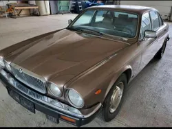 Braun Gebraucht 1985 Jaguar XJ12 Limousine | 2.900 €
