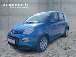 Blau Neu 2024 Fiat Panda Kleinwagen | 16.990 €