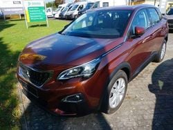 Braun Gebraucht 2016 Peugeot 3008 Active SUV | 14.890 € (Teuer)