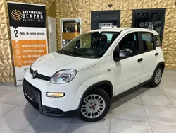 Weiß Gebraucht 2023 Fiat Panda Kleinwagen | 10.999 € (Superpreis)