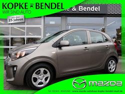 Grau Gebraucht 2019 Kia Picanto Edition 7 Kleinwagen | 10.720 € (Fairer Preis)