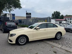 Gelb Gebraucht 2019 Mercedes E200 Limousine | 8.900 € (Superpreis)