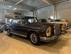Braun Gebraucht 1966 Mercedes 250 SE Coupé | 95.000 €