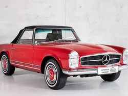 Rot Gebraucht 1967 Mercedes 250 Cabrio | 76.000 €