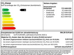 Grün Neu 2025 Ford Tourneo Active Van / Kleinbus | 37.850 € (Etwas zu teuer)