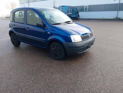 Blau Gebraucht 2009 Fiat Panda Kleinwagen | 1.500 € (Fairer Preis)