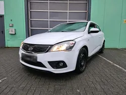 Weiß Gebraucht 2012 Kia ProCeed 2 Kleinwagen | 1.999 €