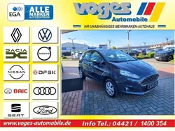 Grau Gebraucht 2013 Ford Fiesta Trend Kleinwagen | 5.990 € (Teuer)