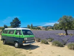 Grün Gebraucht 1986 VW T3 Van | 2.500 €
