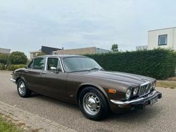 Braun Gebraucht 1976 Jaguar XJ12 Limousine | 13.500 €