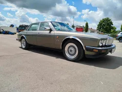Gebraucht 1991 Jaguar XJ40 Sovereign Limousine | 14.900 €