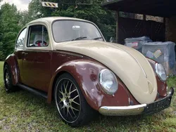 VW Käfer