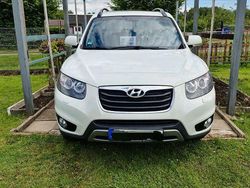 Weiß Gebraucht 2013 Hyundai Santa Fe Premium SUV | 8.500 € (Guter Preis)