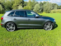 Grau Gebraucht 2017 Audi SQ5 Competition SUV | 31.099 € (Etwas zu teuer)
