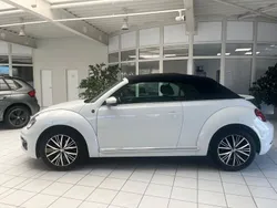 VW Beetle