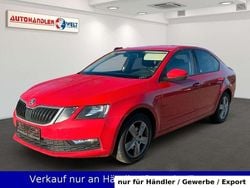 Rot Gebraucht 2017 Skoda Octavia Ambition Limousine | 8.999 € (Guter Preis)