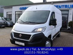Weiss Gebraucht 2019 Fiat Ducato Van | 18.450 € (Fairer Preis)