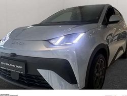 Blau Neu 2025 BYD Dolphin Comfort Kleinwagen | 28.990 € (Etwas zu teuer)