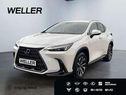 Weiss Gebraucht 2024 Lexus NX350h Business Edition SUV | 48.990 € (Fairer Preis)