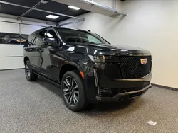 Grau Neu 2025 Cadillac Escalade SUV | 117.600 €