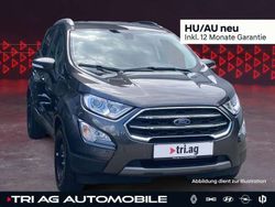 Grau Gebraucht 2019 Ford Ecosport SUV | 17.299 € (Fairer Preis)