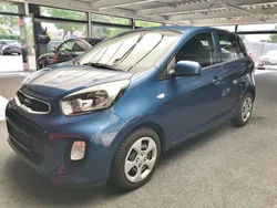 Blau Gebraucht 2016 Kia Picanto Kleinwagen | 6.300 € (Etwas zu teuer)