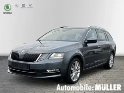 Grau Gebraucht 2019 Skoda Octavia G-TEC Style Kombi | 14.790 € (Fairer Preis)