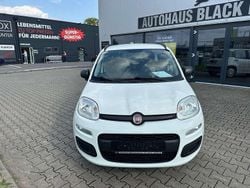 Colore esterno (weiss) Gebraucht 2021 Fiat Panda Kleinwagen | 8.650 € (Superpreis)