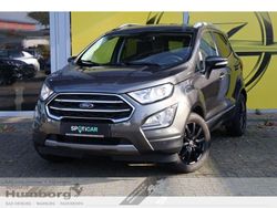 Metallic) (grau Gebraucht 2019 Ford Ecosport Titanium SUV | 15.990 € (Fairer Preis)